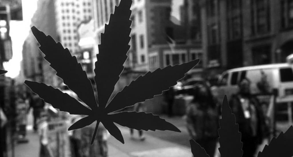 Everything you want to know about Cannabis Legalization in NY