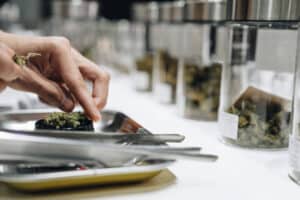 Cannabis News